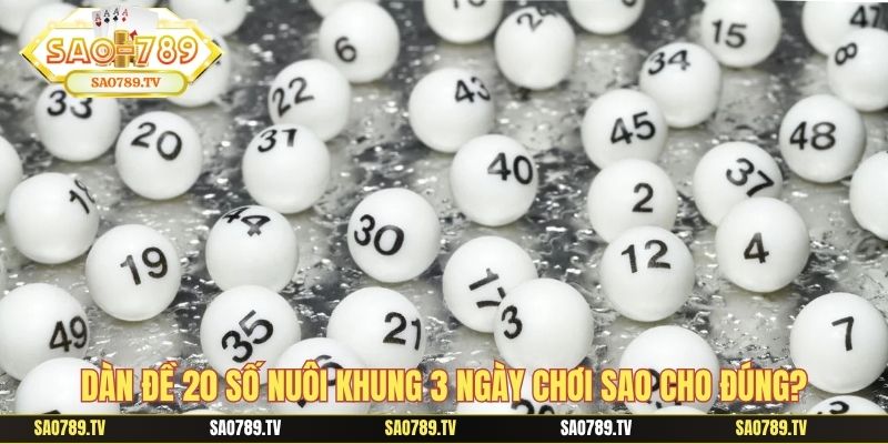 Dàn đề 20 số nuôi khung 3 ngày