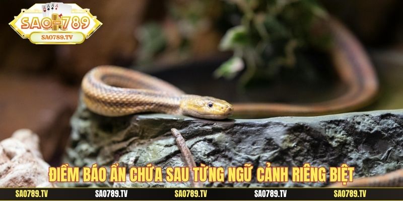 Điềm báo ẩn chứa sau từng ngữ cảnh riêng biệt