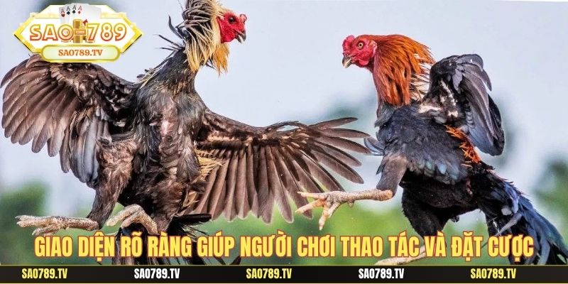 Giao diện rõ ràng giúp người chơi thao tác và đặt cược