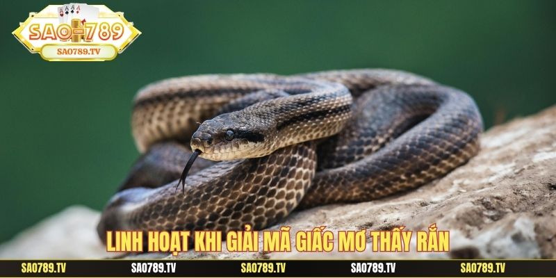 Linh hoạt khi giải mã giấc mơ thấy rắn