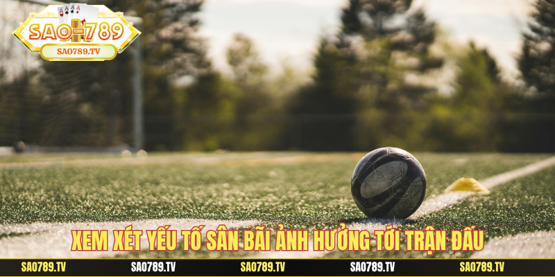 Xem xét yếu tố sân bãi ảnh hưởng tới trận đấu